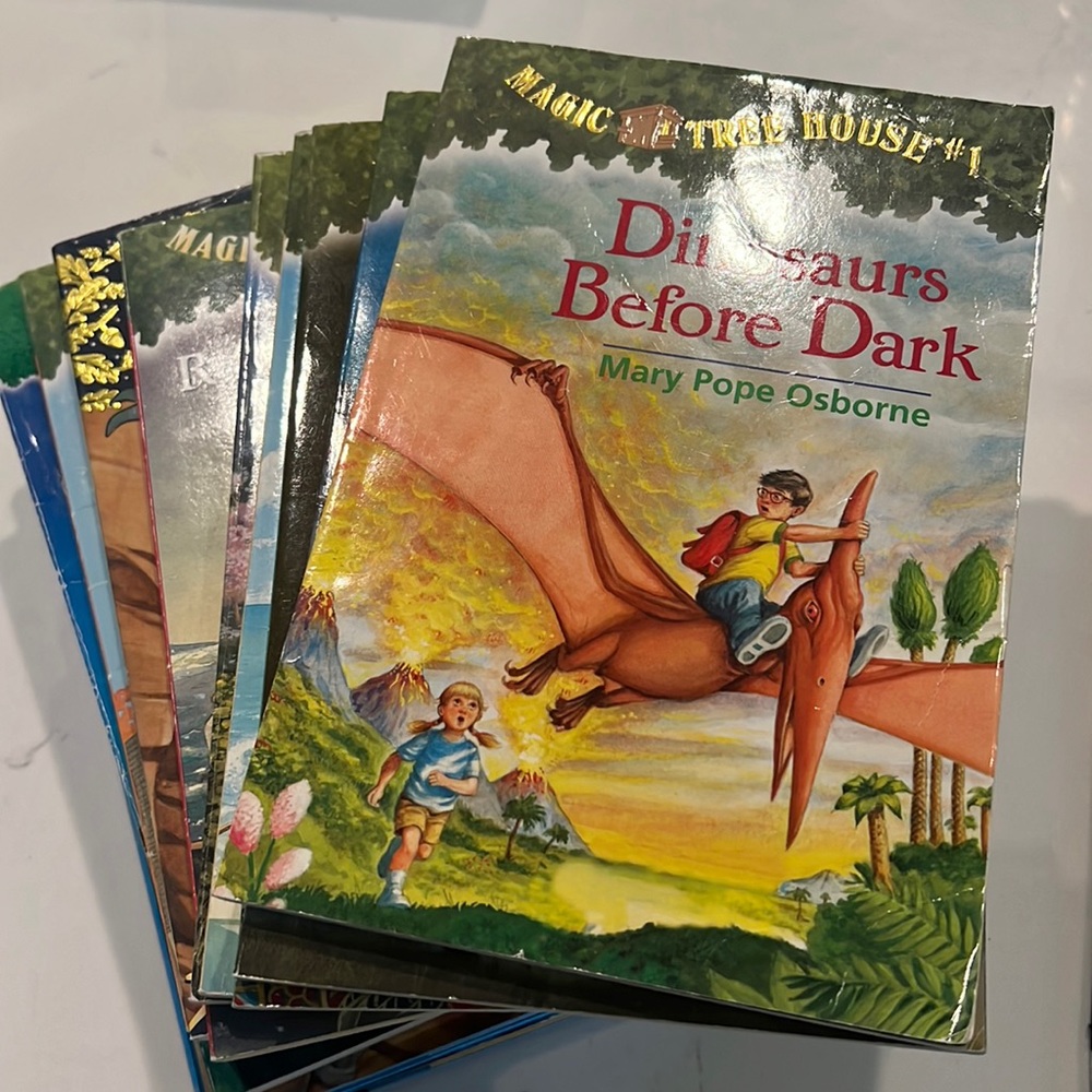 Magic Tree house books by Mary Pope Osborne 13 total